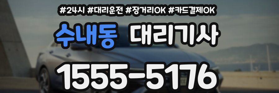 수내동 대리기사