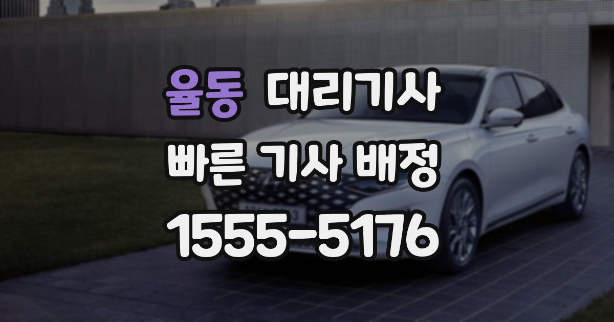 율동 대리기사