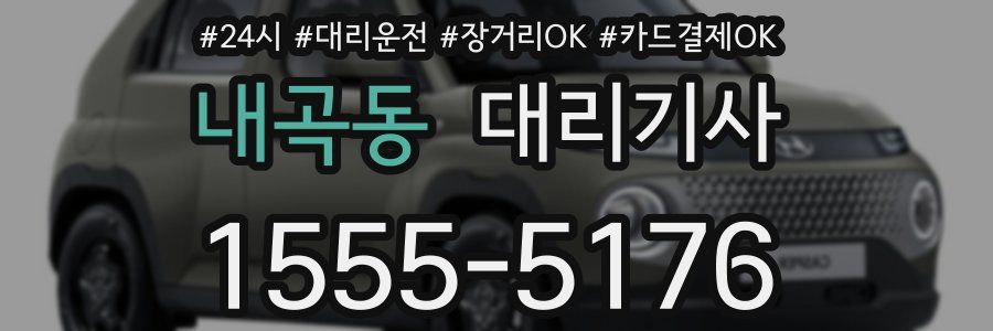 내곡동 대리기사