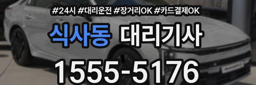 식사동 대리기사