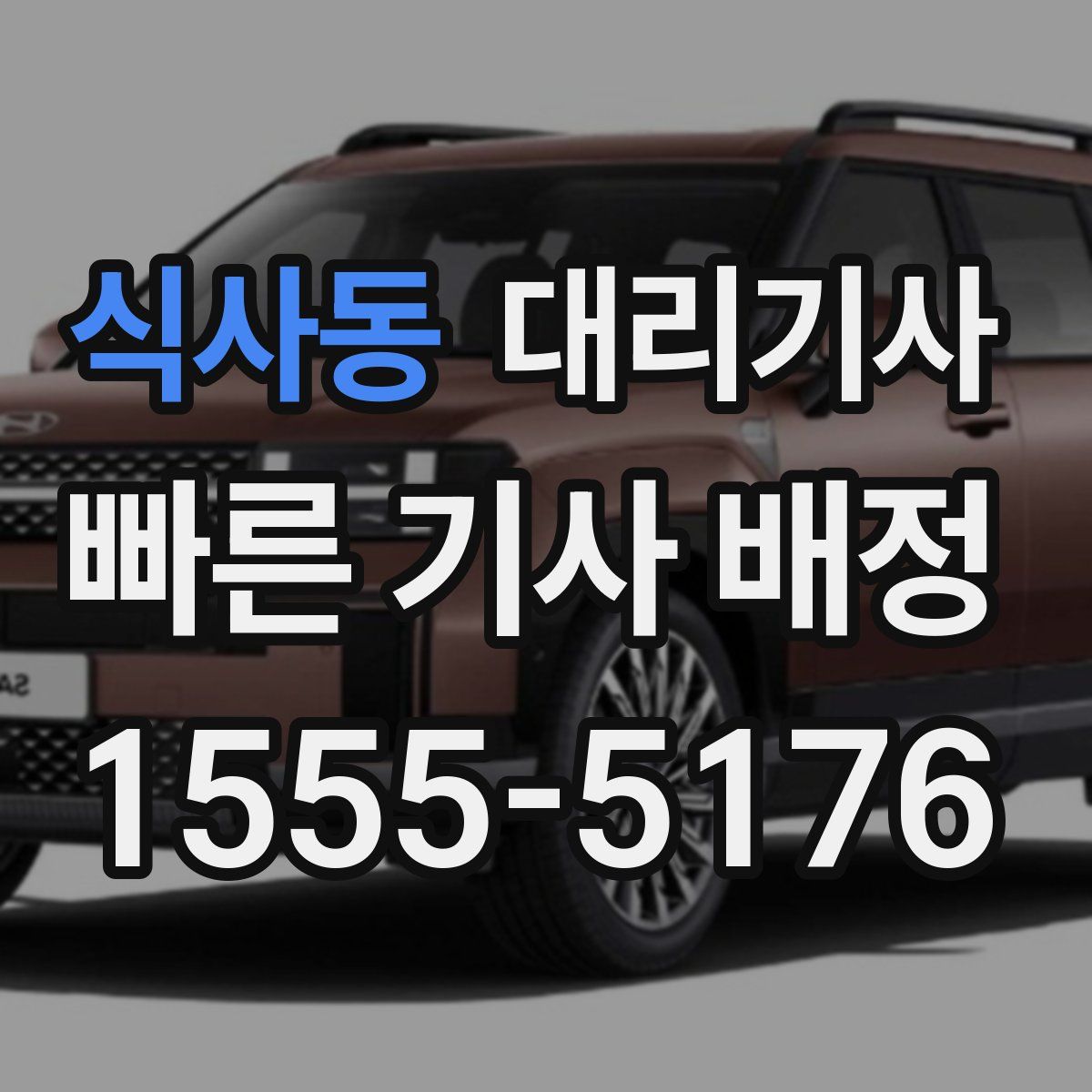식사동 대리기사