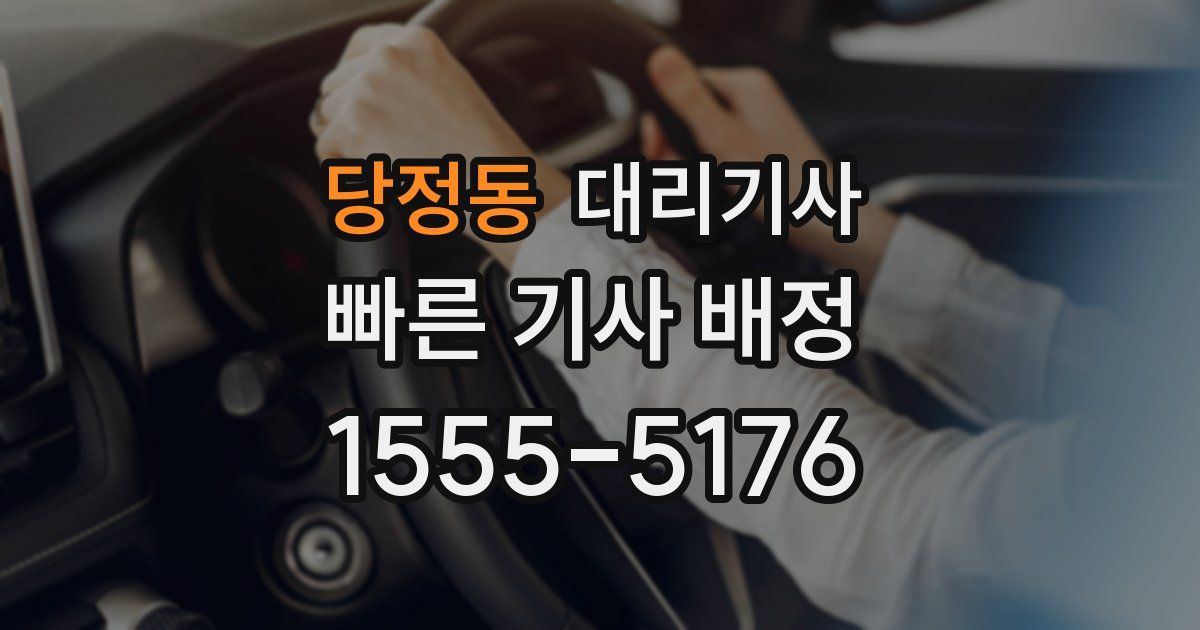 당정동 대리기사