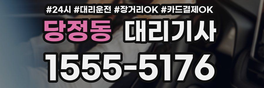 당정동 대리기사