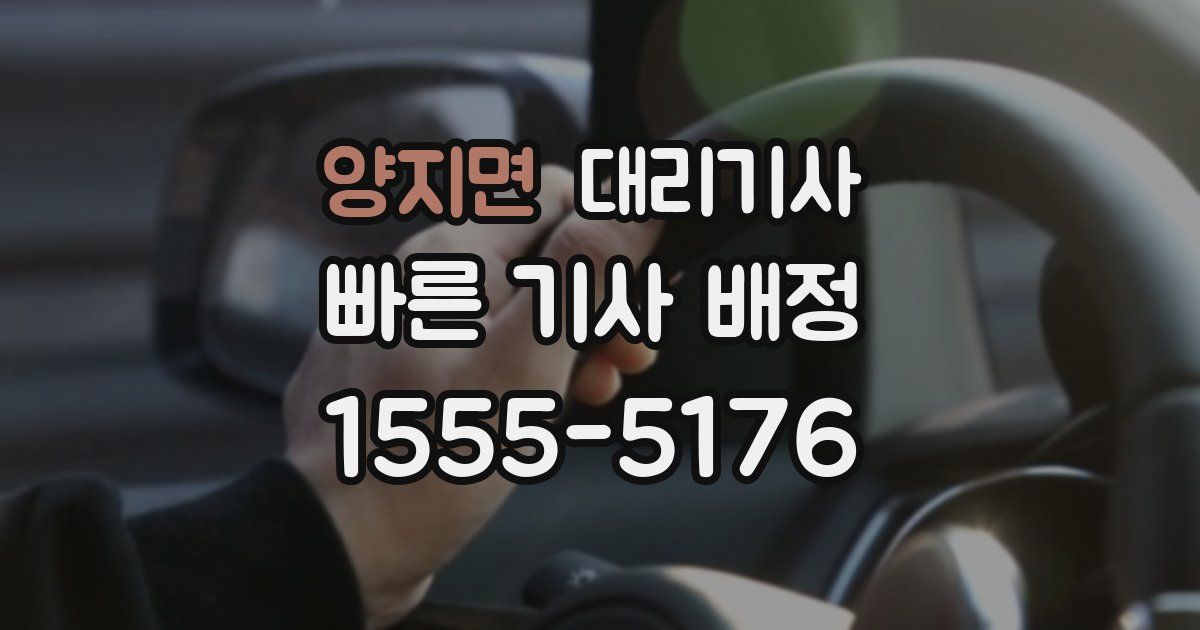 양지면 대리기사