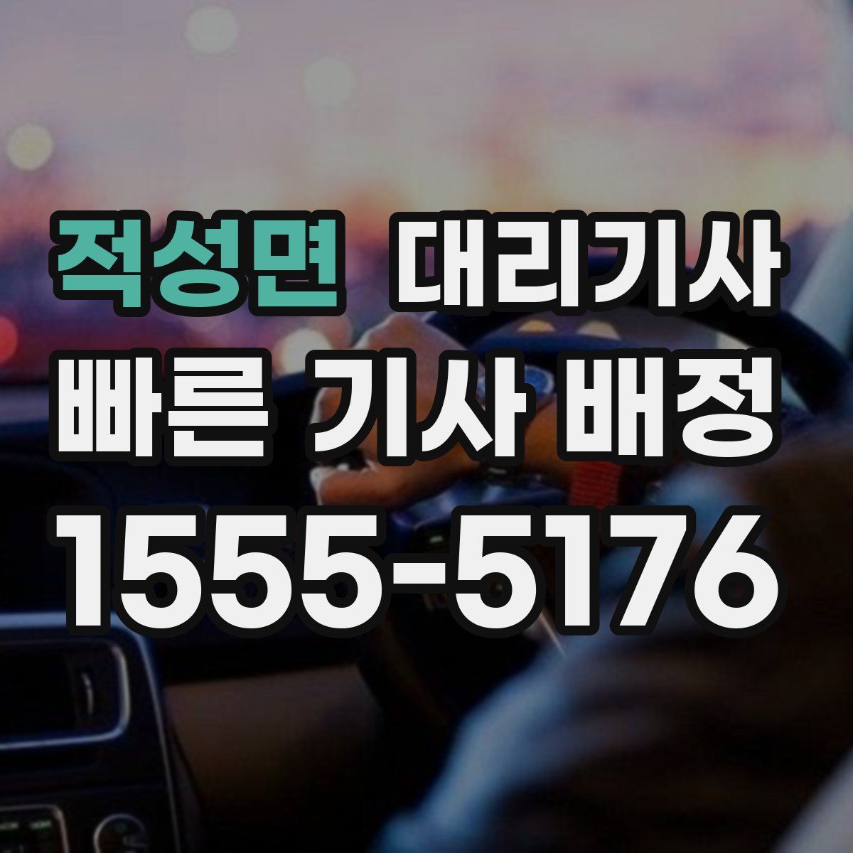 적성면 대리기사