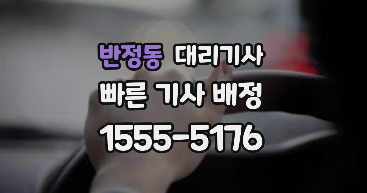반정동 대리기사