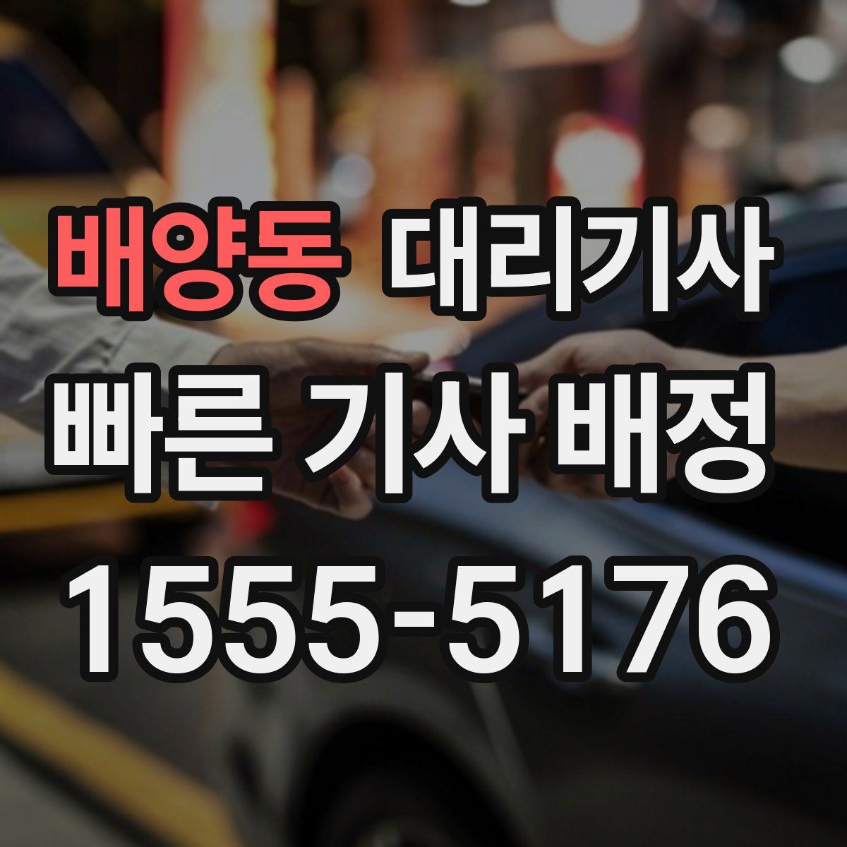 배양동 대리기사