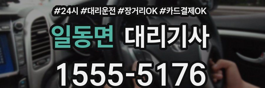 일동면 대리기사