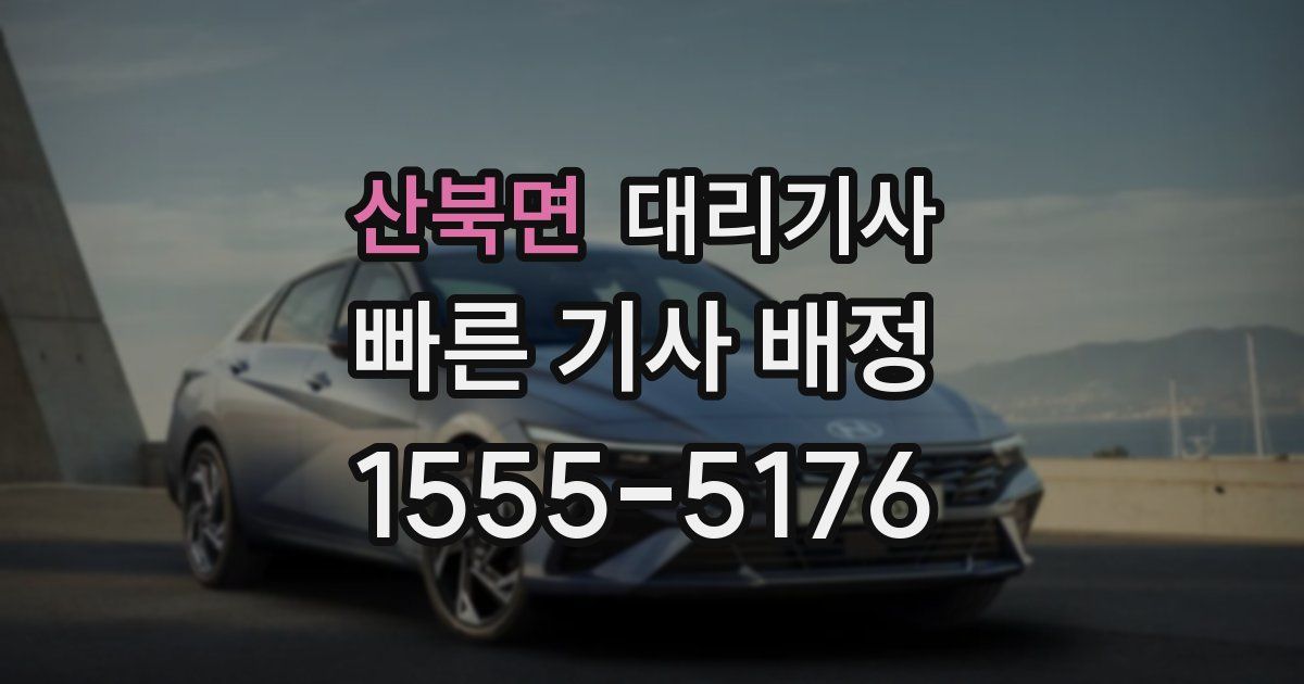 산북면 대리기사