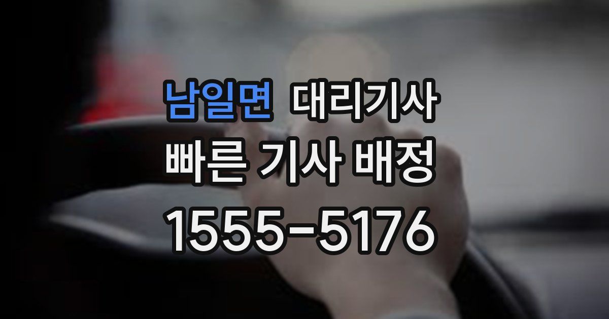 남일면 대리기사