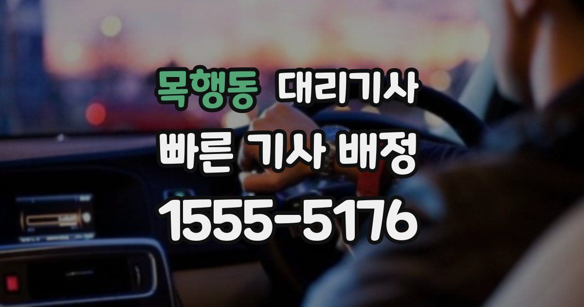 목행동 대리기사