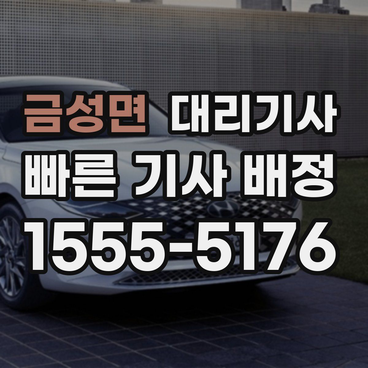 금성면 대리기사