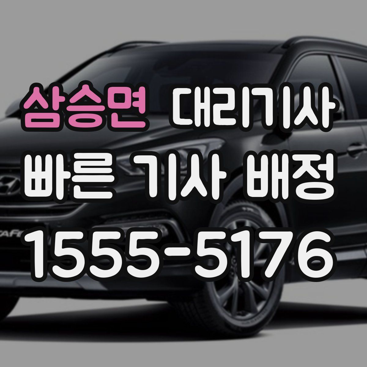삼승면 대리기사