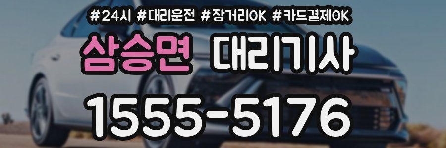삼승면 대리기사