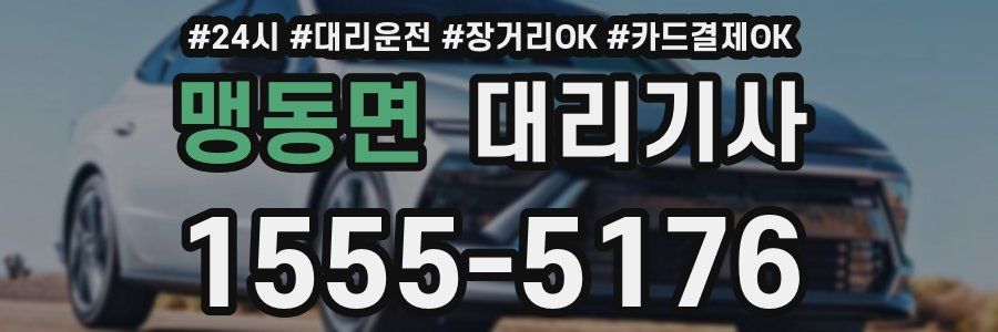 맹동면 대리기사