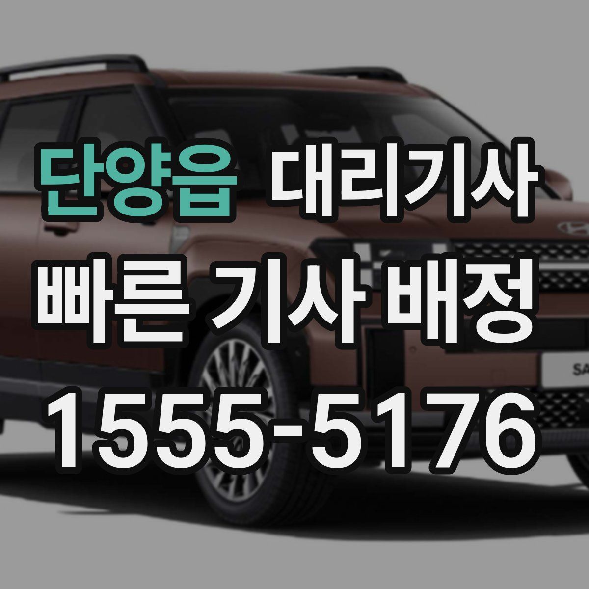 단양읍 대리기사