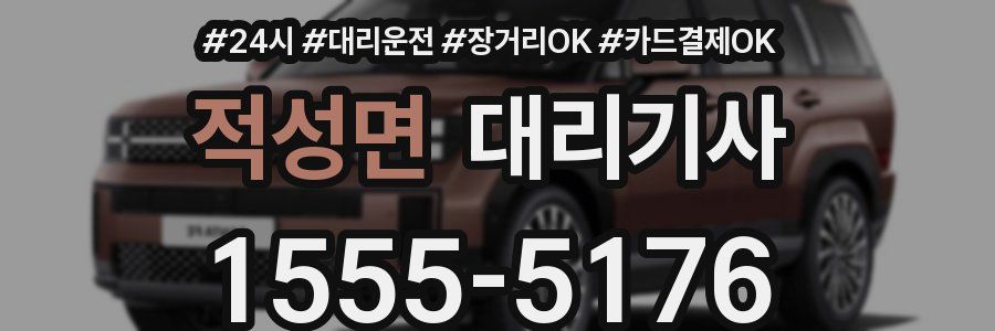 적성면 대리기사