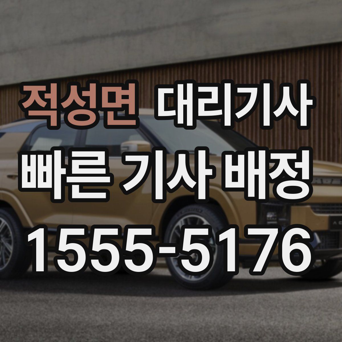 적성면 대리기사