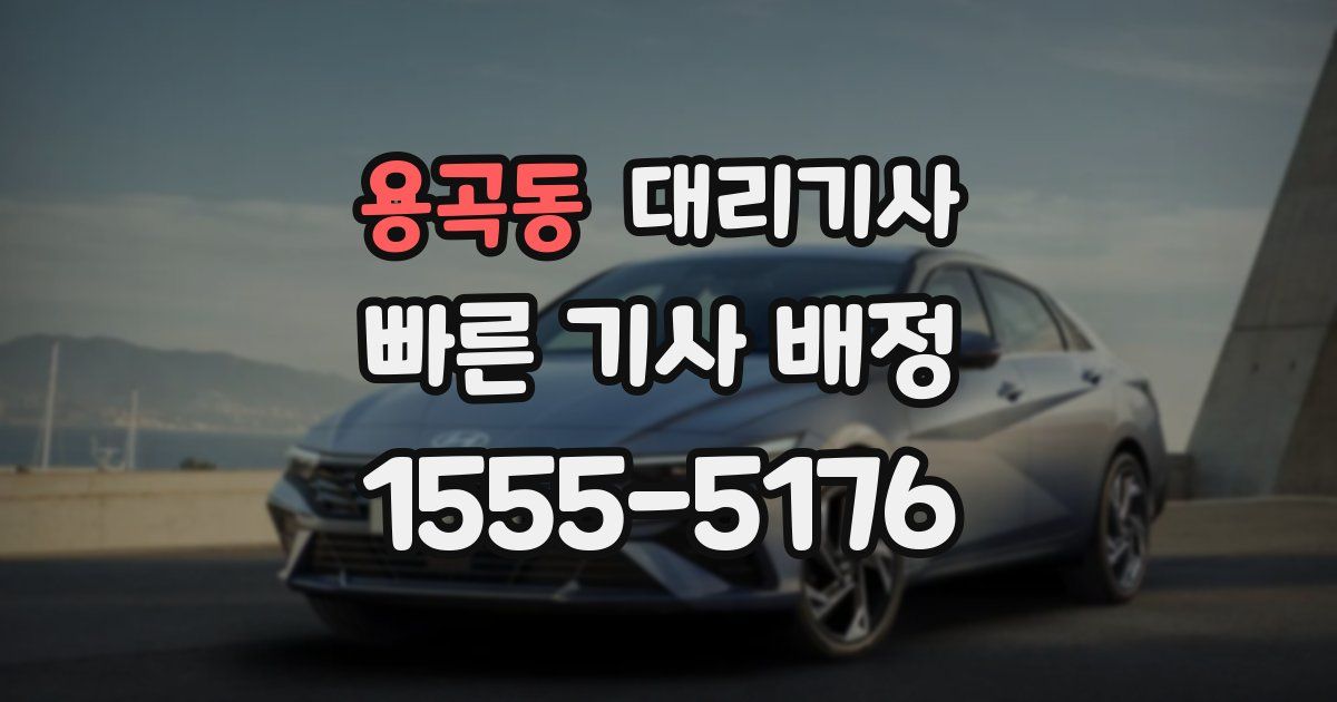 용곡동 대리기사