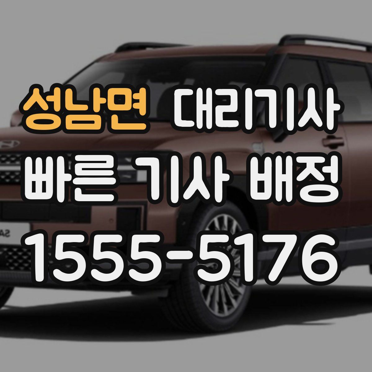성남면 대리기사