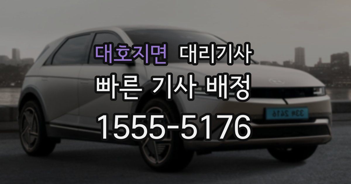 대호지면 대리기사