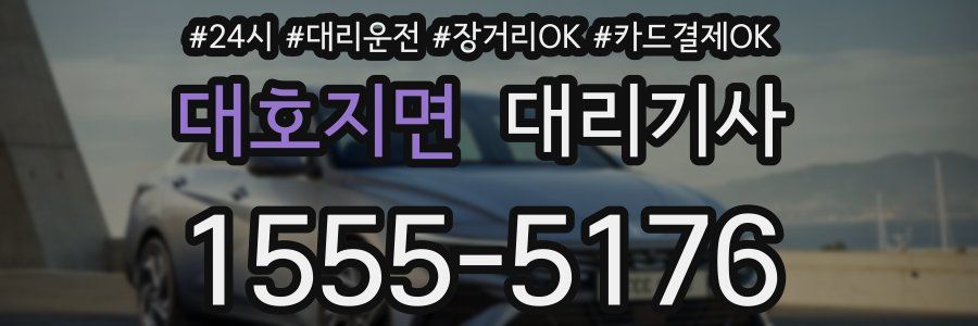 대호지면 대리기사