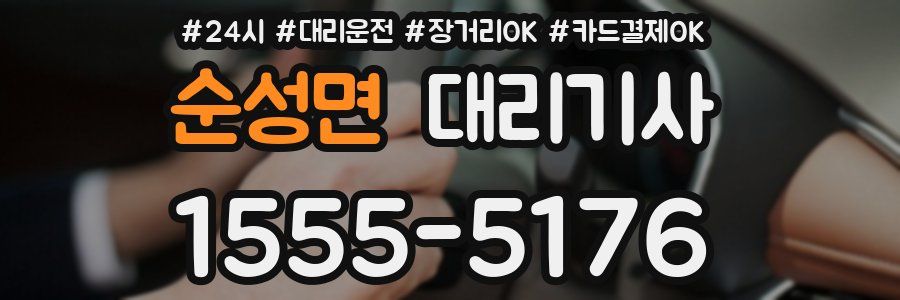 순성면 대리기사