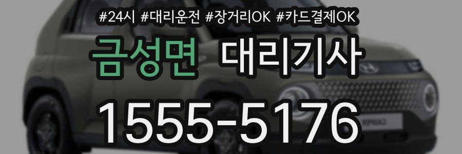 금성면 대리기사