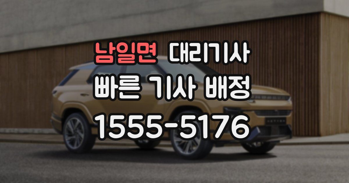 남일면 대리기사
