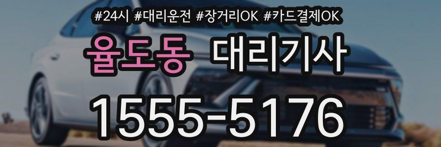 율도동 대리기사