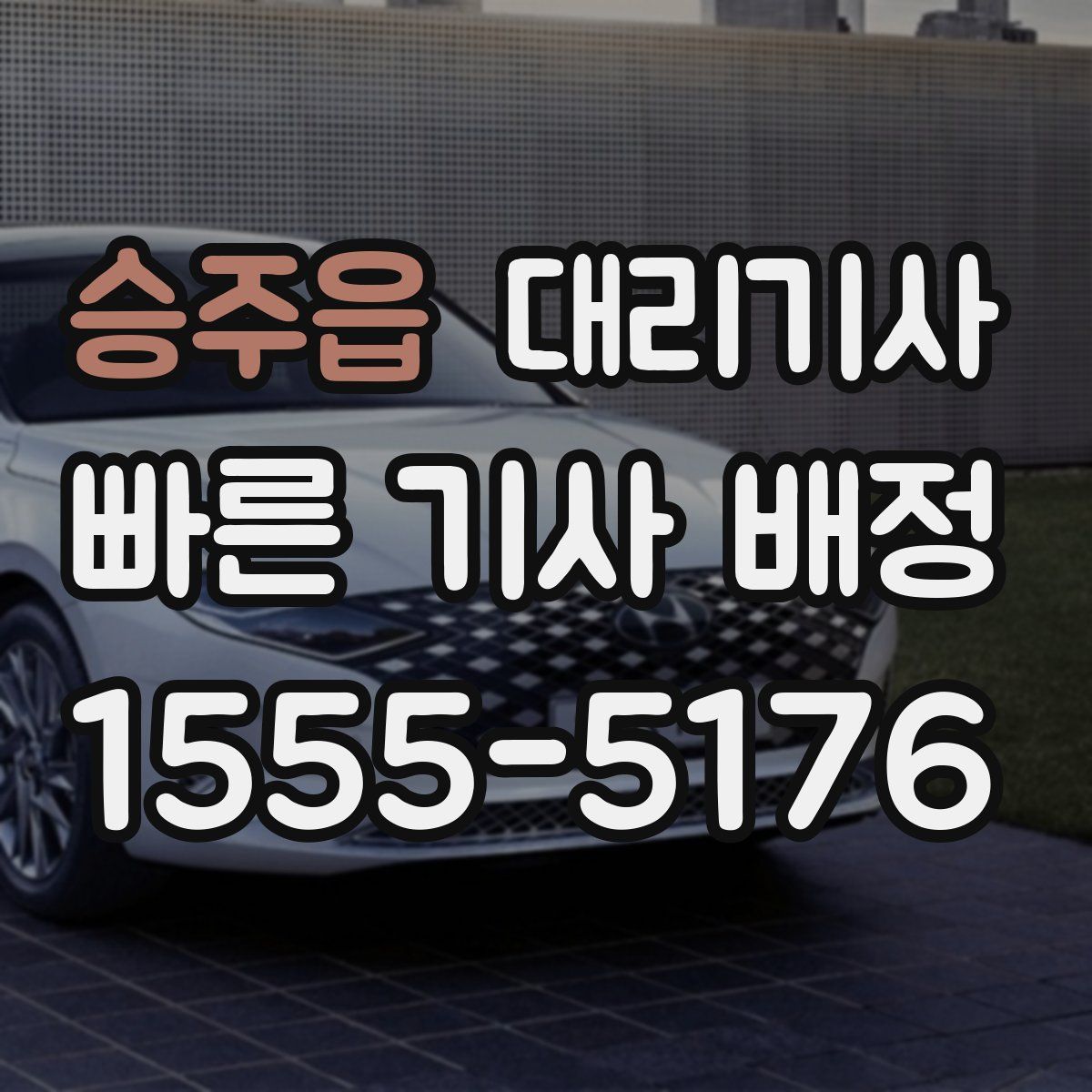 승주읍 대리기사