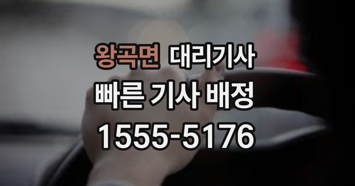 왕곡면 대리기사