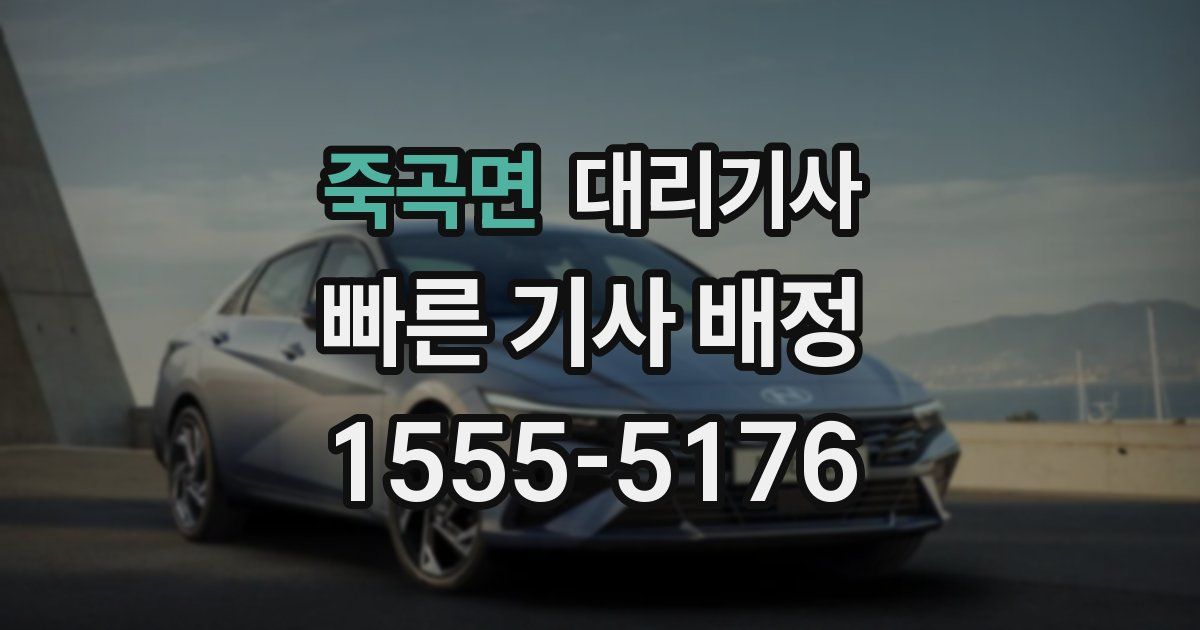 죽곡면 대리기사