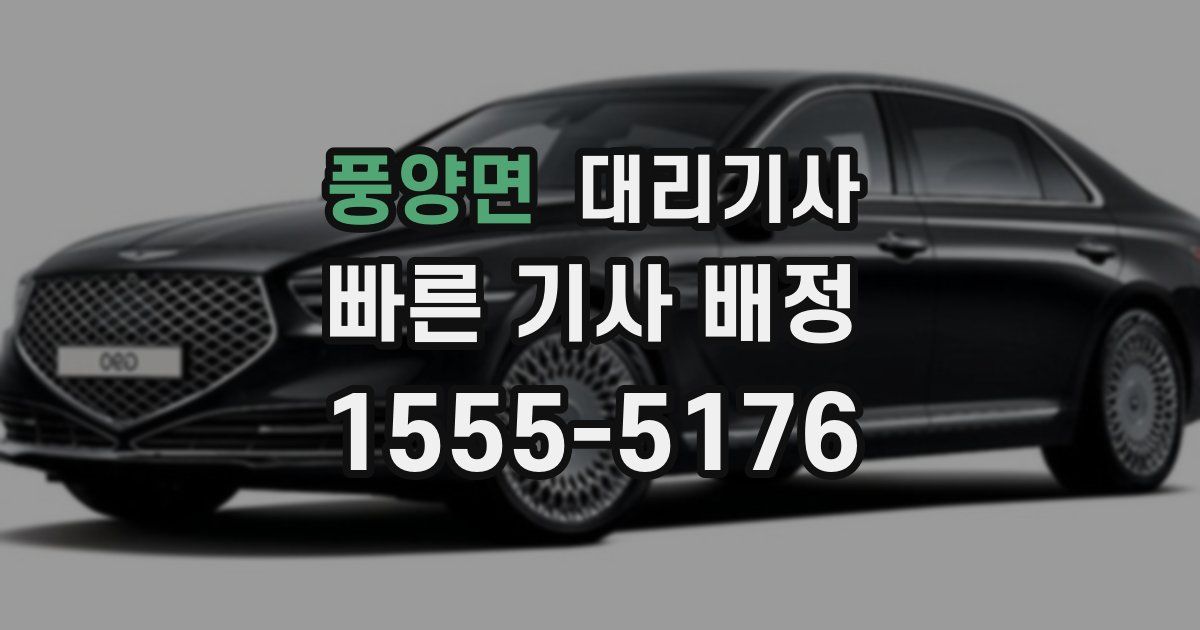 풍양면 대리기사