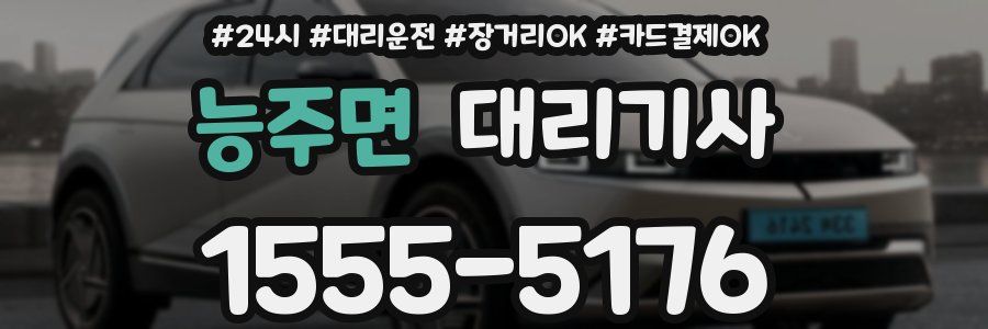 능주면 대리기사