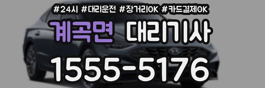 계곡면 대리기사