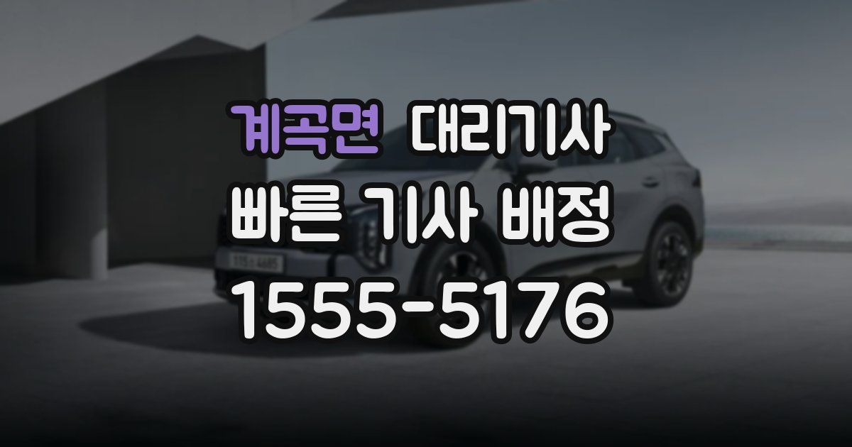 계곡면 대리기사