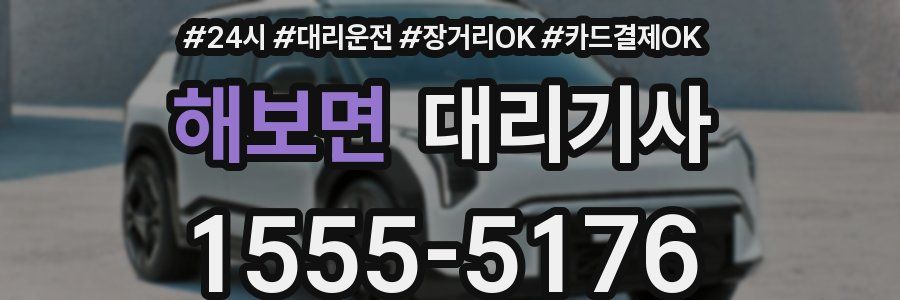 해보면 대리기사