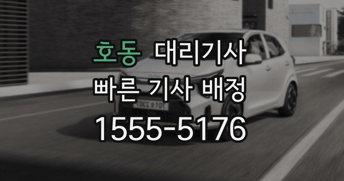 호동 대리기사