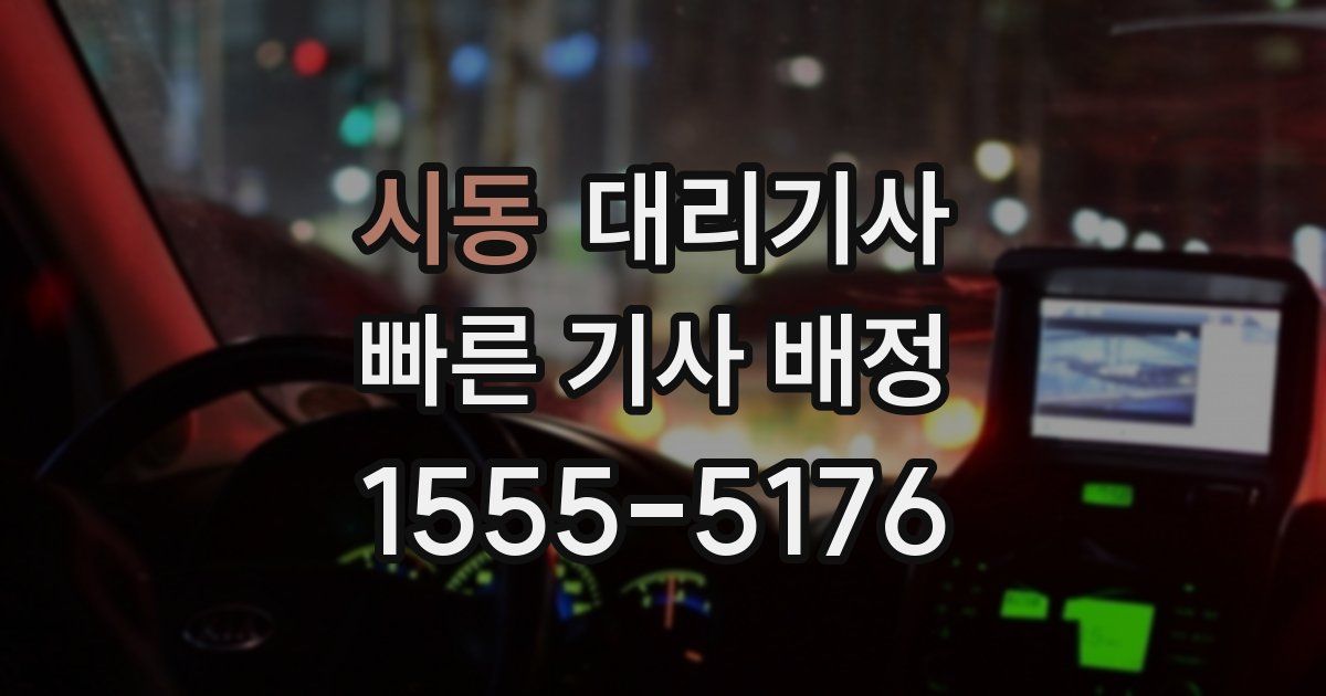 시동 대리기사