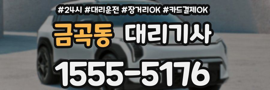 금곡동 대리기사