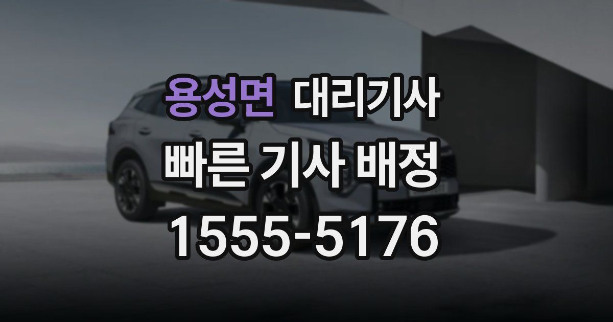 용성면 대리기사