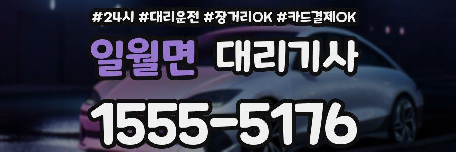 일월면 대리기사