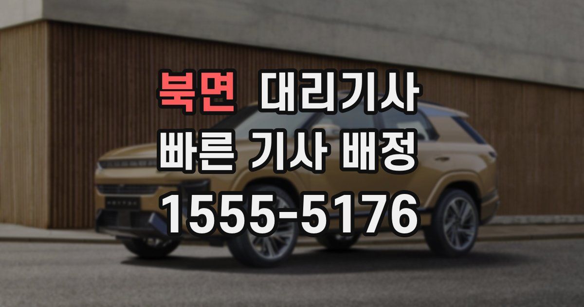 북면 대리기사
