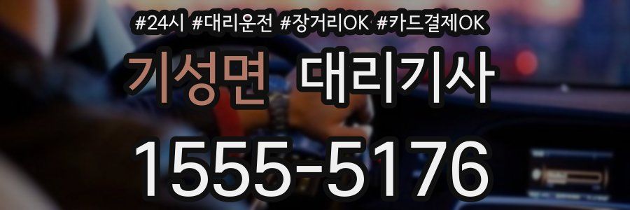 기성면 대리기사