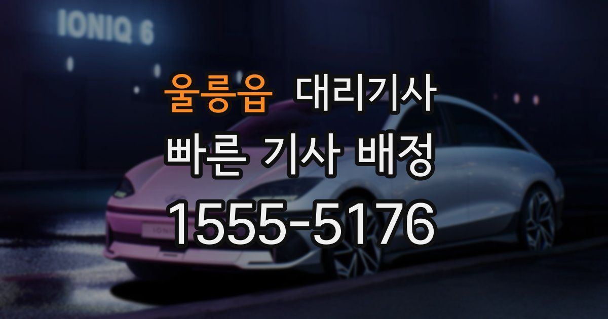 울릉읍 대리기사