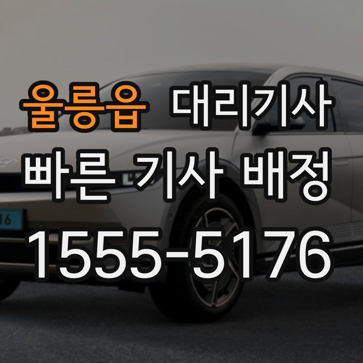 울릉읍 대리기사