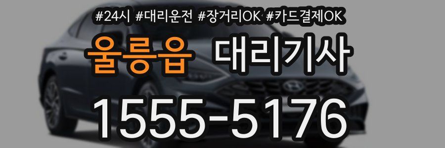 울릉읍 대리기사
