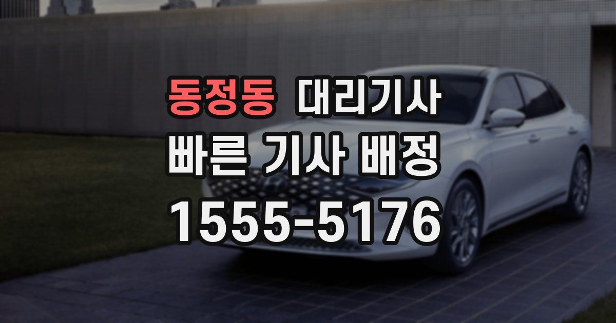 동정동 대리기사