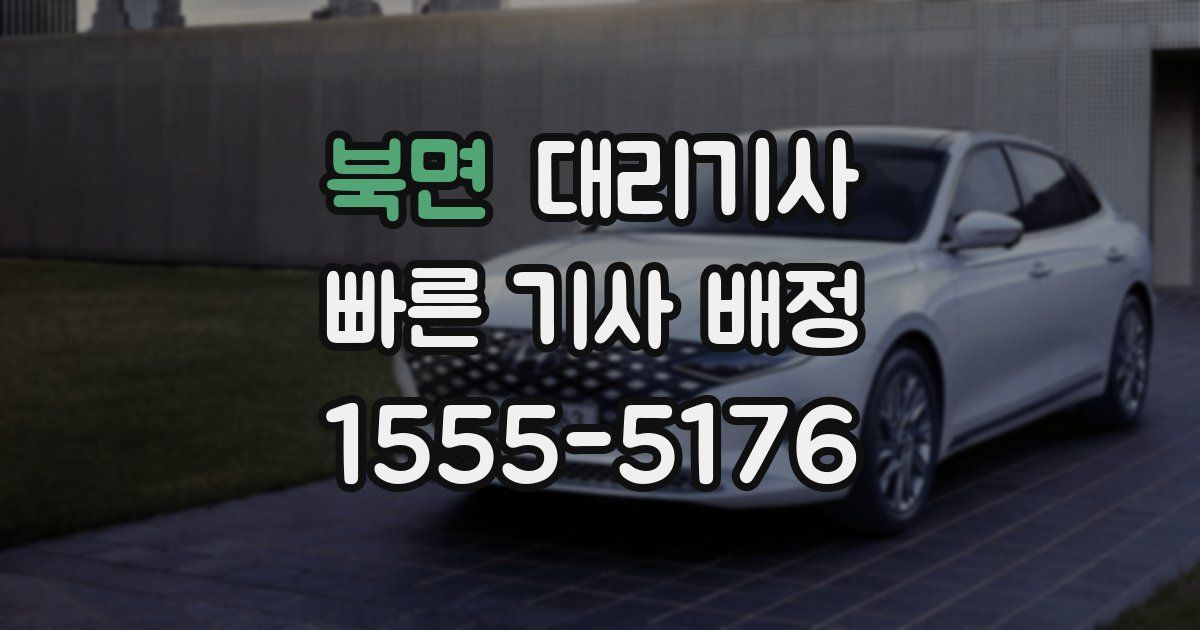 북면 대리기사